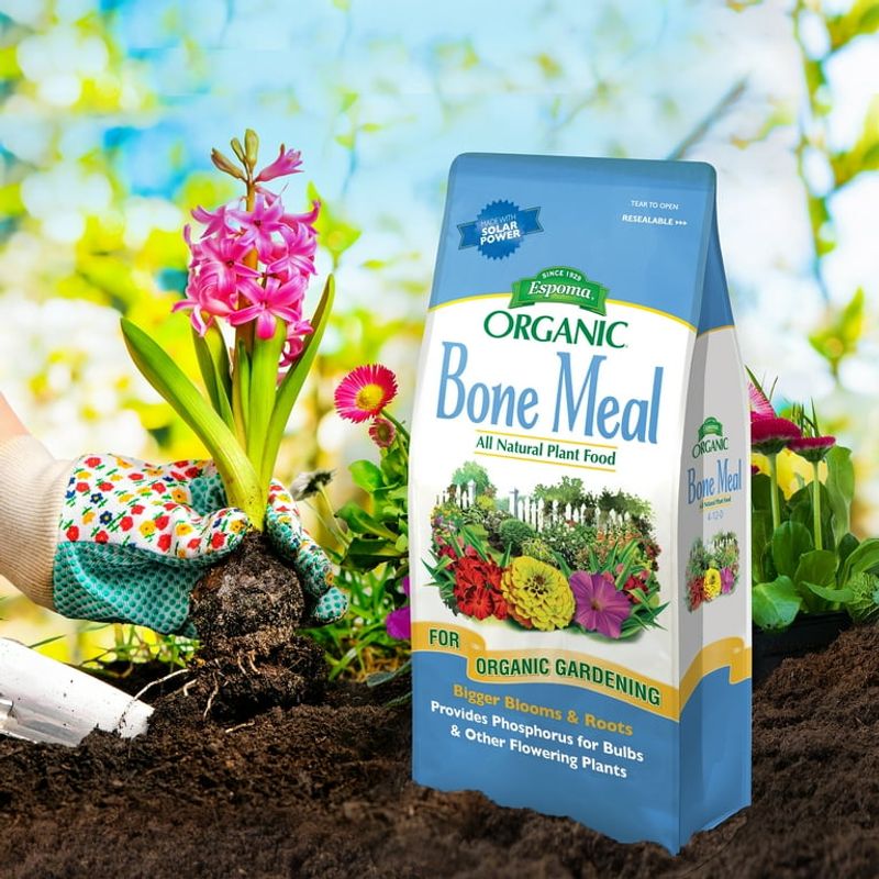 Bone Meal