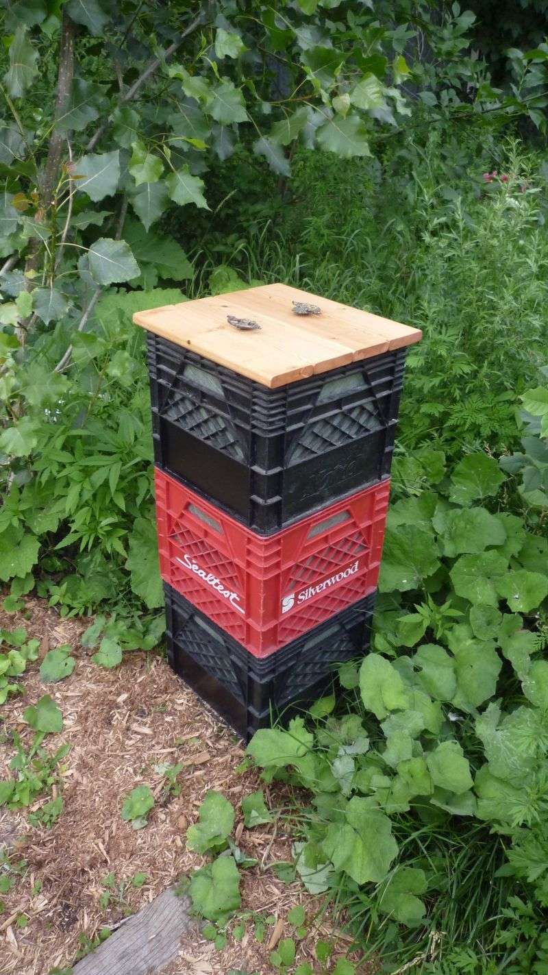 Compost Bin
