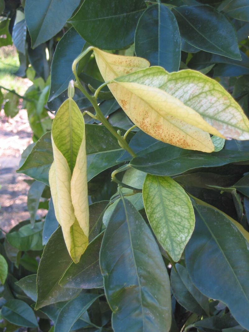 Know When Cold Snaps Are Most Dangerous