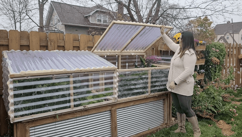 Mini Greenhouses Trap Heat and Light Naturally