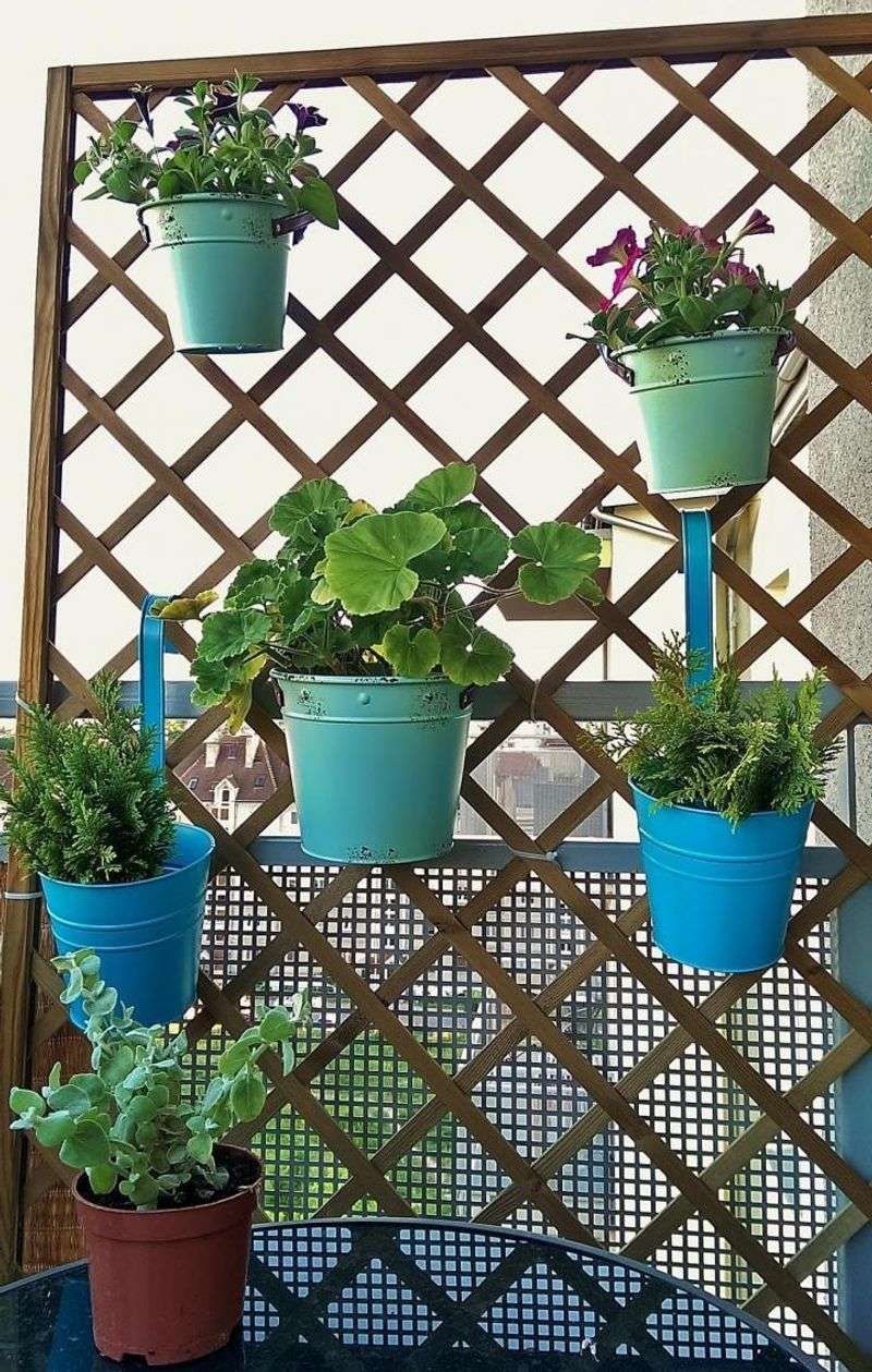 Trellis + Hanging Pots