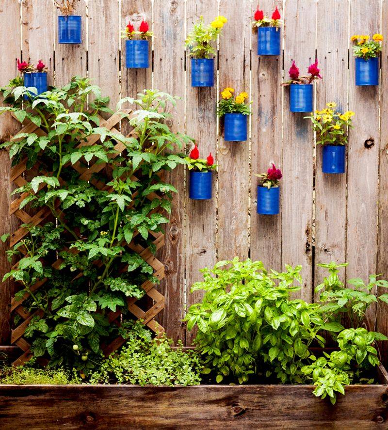 Tin Can Herb Wall