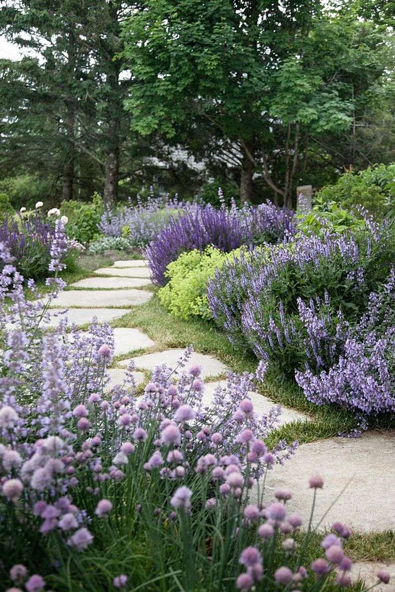Lavender Stepping Stones