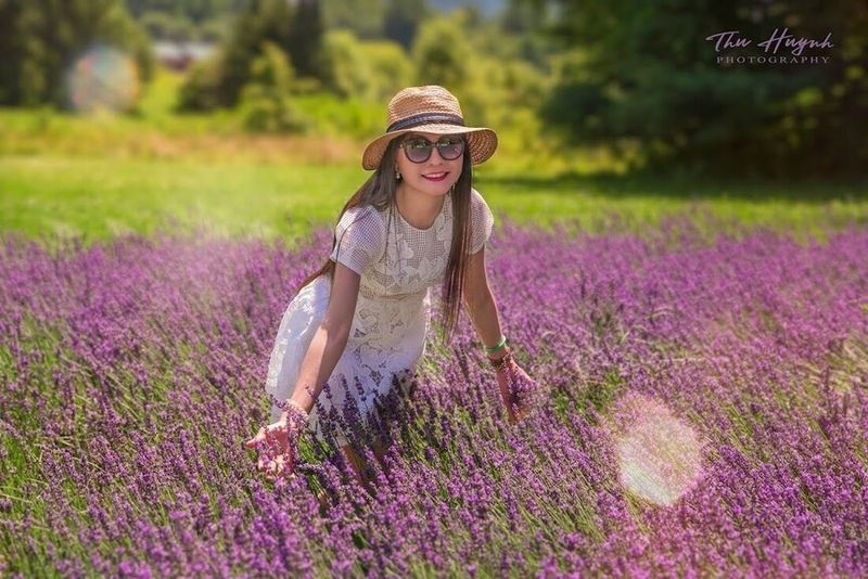 Lavender Curtain Entry