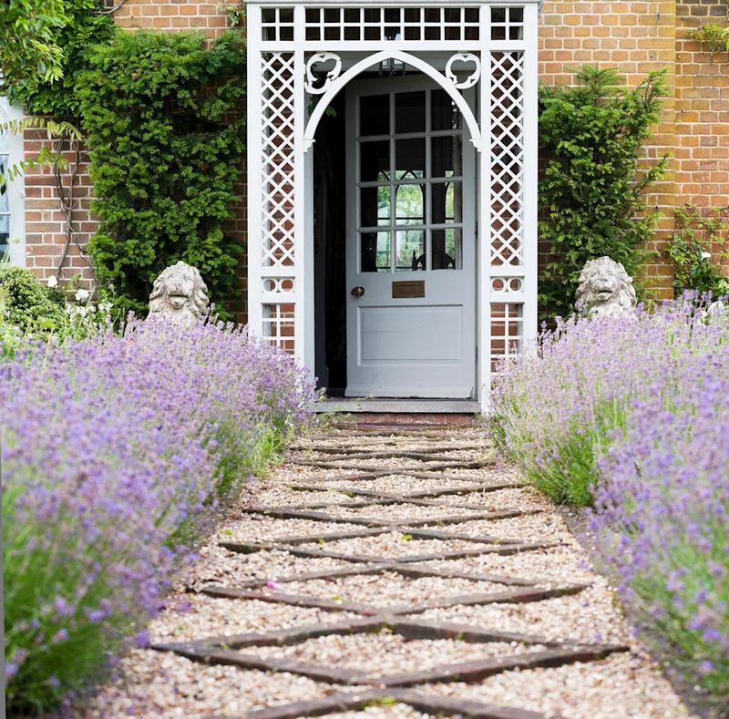 Lavender Hedge Pathway