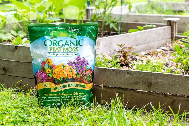 Peat Moss Enrichment