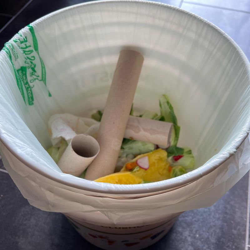 Paper Towel Tubes (Shredded)