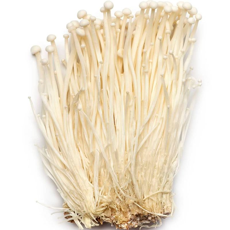 Enoki