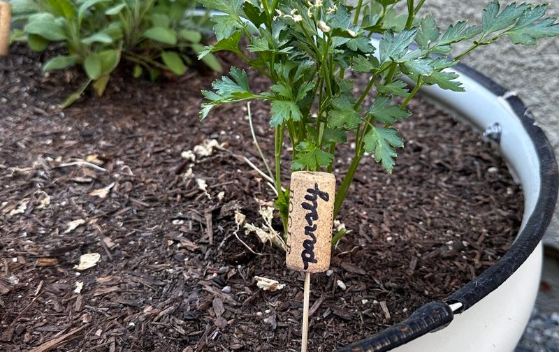 Wine Cork Garden Markers