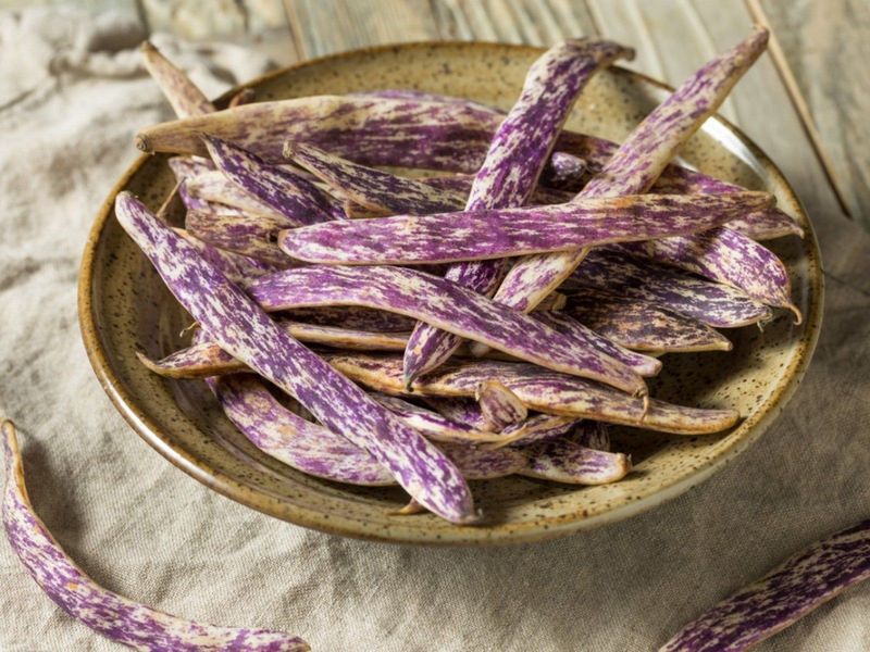 Dragon Tongue Beans - Striped Beauties That Beat the Heat