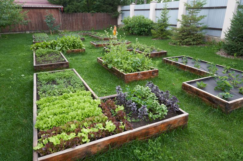 Implement Crop Rotation