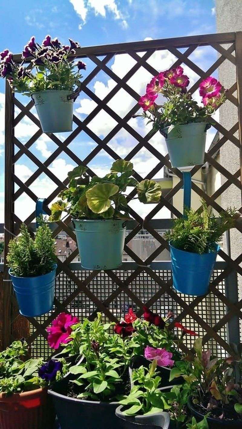 Trellis + Hanging Pots
