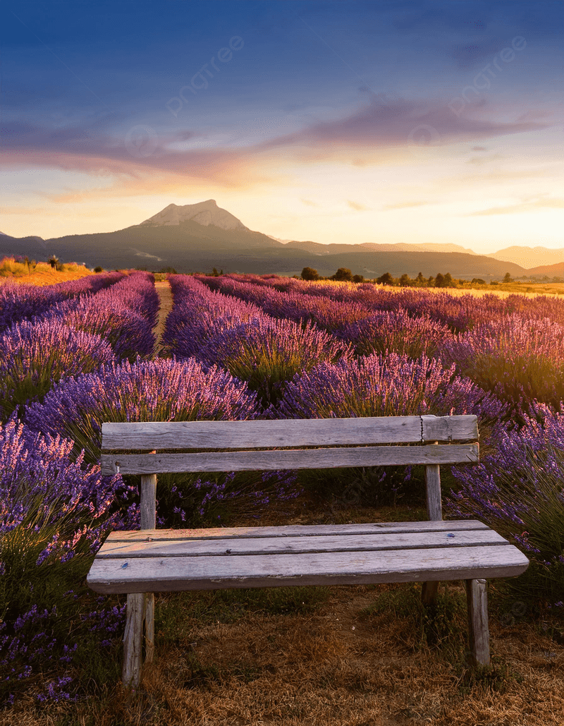 Sunset Serenity Spot