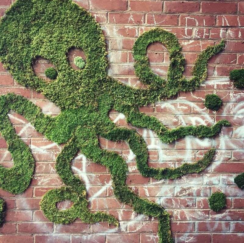 Moss Graffiti