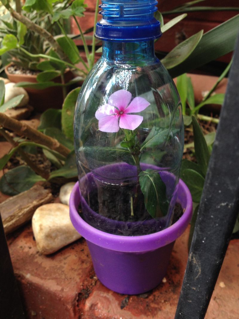 Propagating through Cuttings