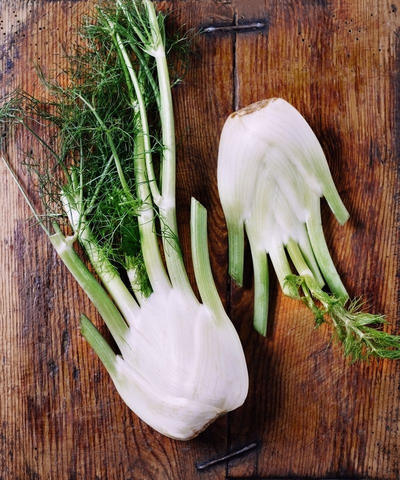 Fennel