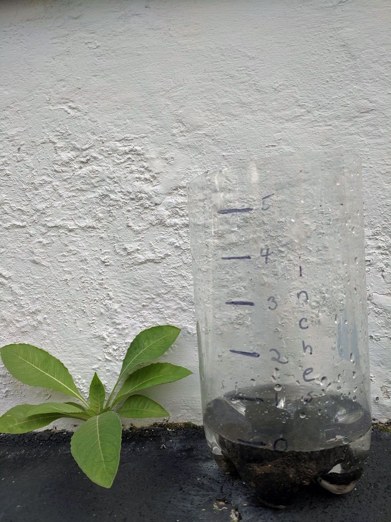 DIY Rain Gauge