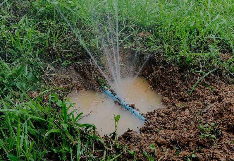 Failing to Check for Leaks