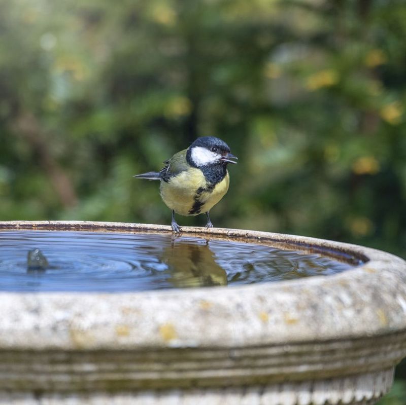 Mistake: Using Deep Water