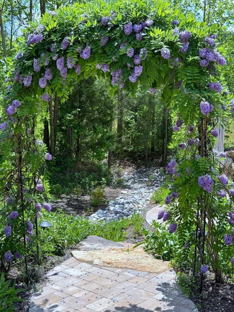 Lavender Archway Delight