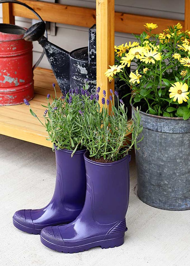 Whimsical Boot Planters