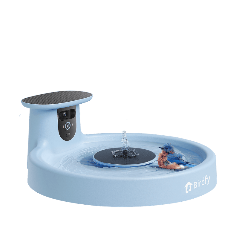 Interactive Bathing Station