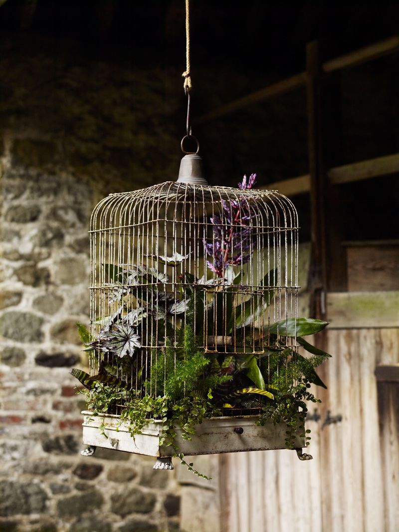 Victorian-Style Birdcage