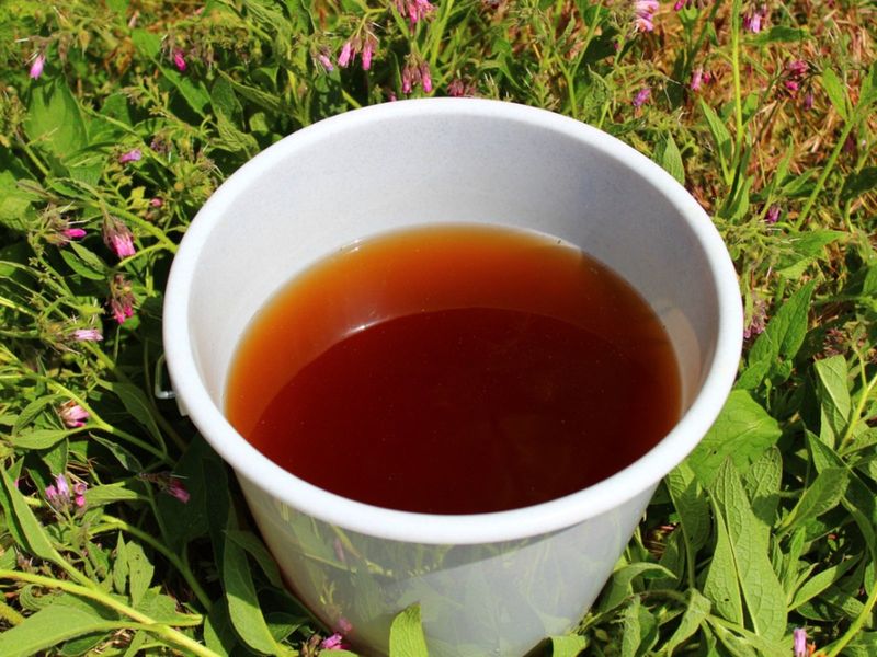 Comfrey Tea