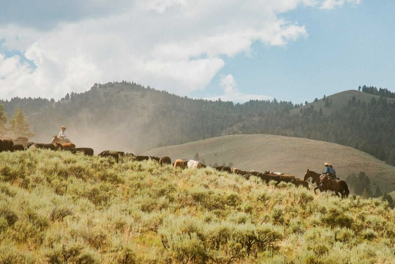 Wyoming Open Range Challenges