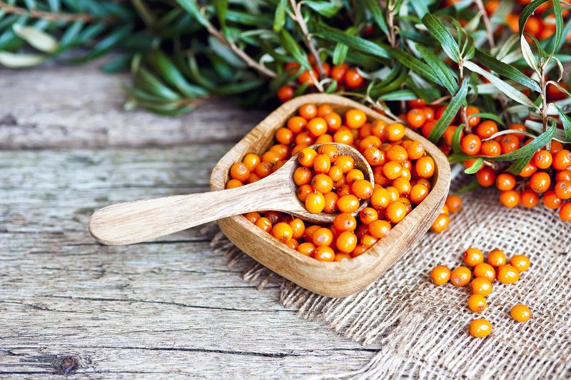 Sea Buckthorn Berries
