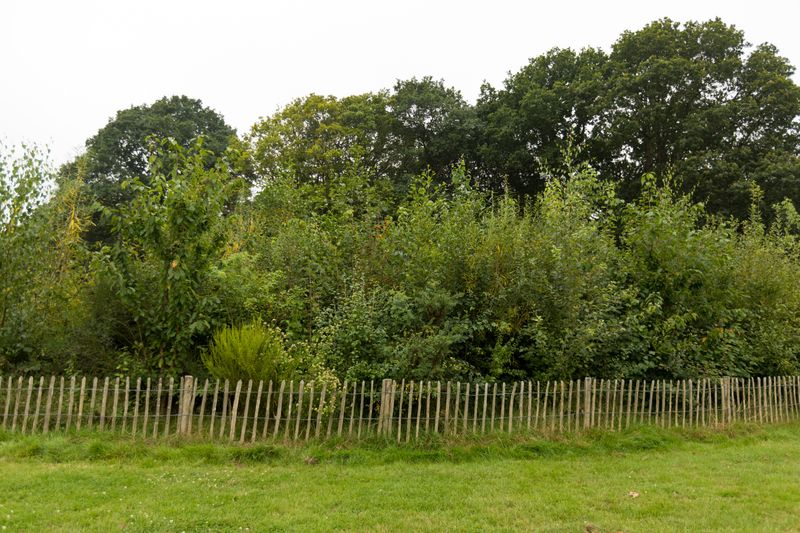 Hands-Off Maintenance After Establishment