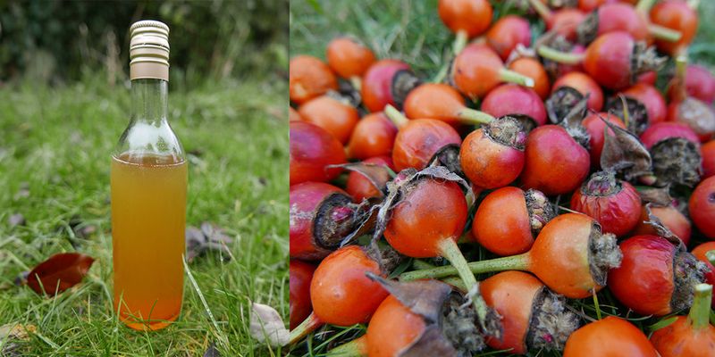 Rose Hip Syrup for Vitamin C