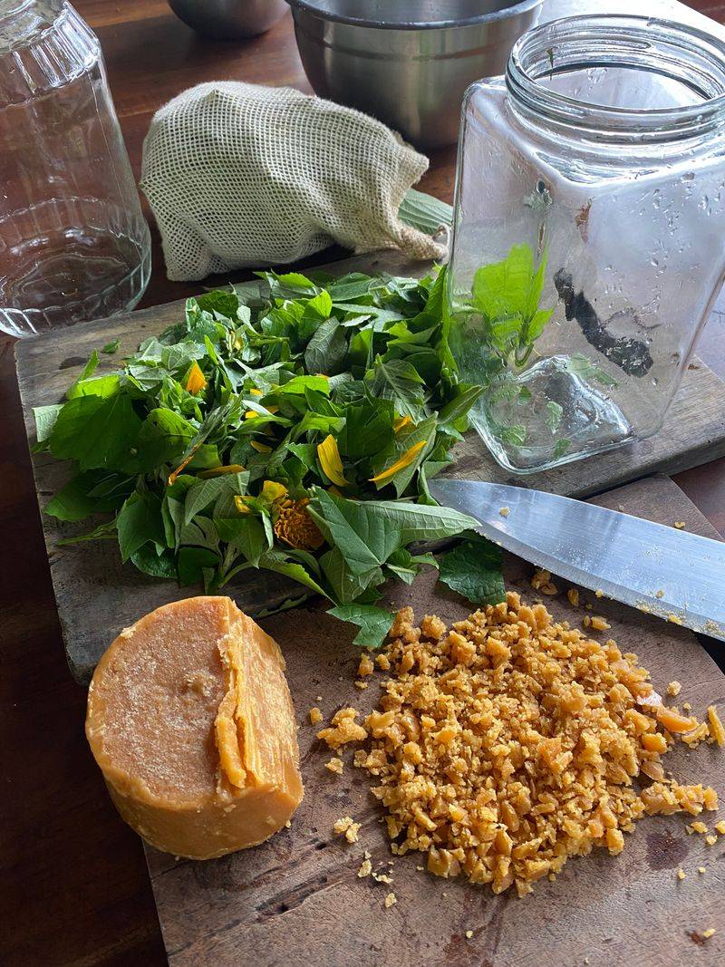 Fermented Plant Juice (FPJ) Fertilizing