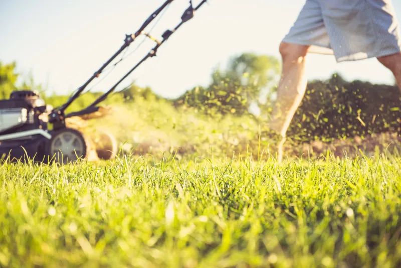 Myth 2: Shorter Grass Means Less Mowing