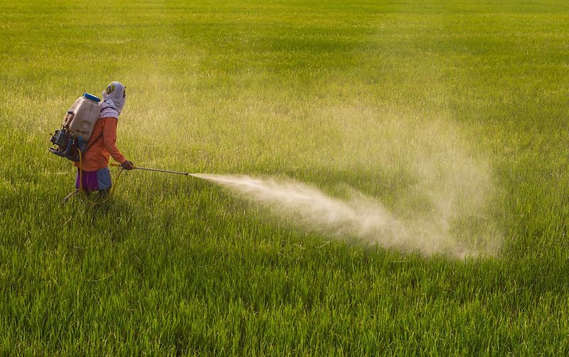 Myth 11: Organic Pesticides Are Safer