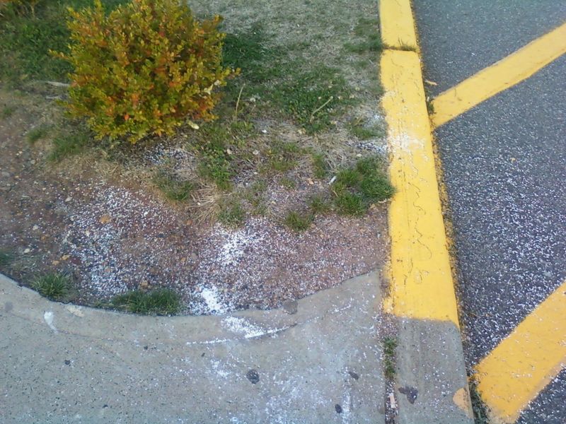 Myth 3: Fertilizer Fixes All Problems