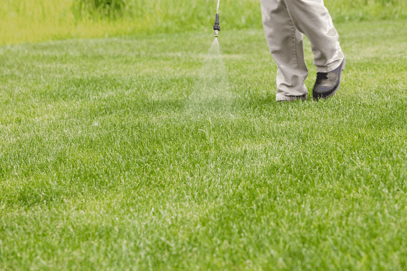 Myth 7: Pest Control Works Instantly