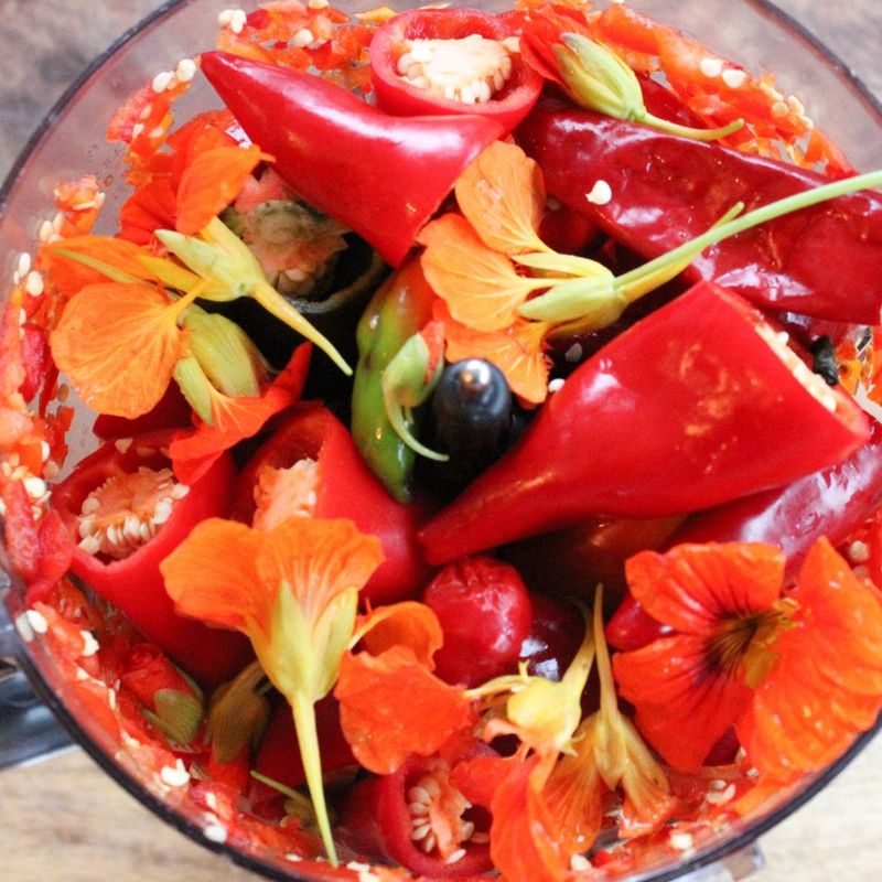 Nasturtium and Peppers