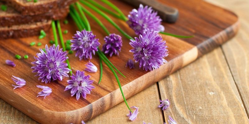 Chive blossoms – Mild onion flavor, perfect on soups or buttered bread.