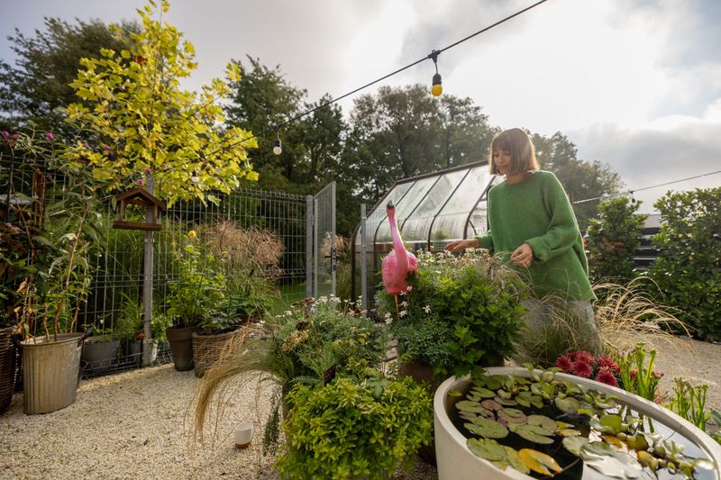 Beehive Ovens (Ancient Passive Solar Greenhouses)