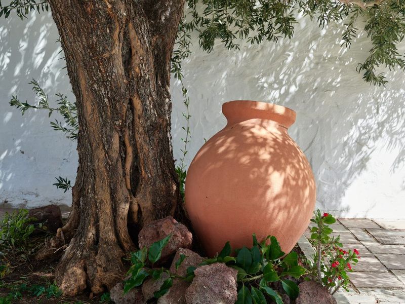 Temperature Regulation