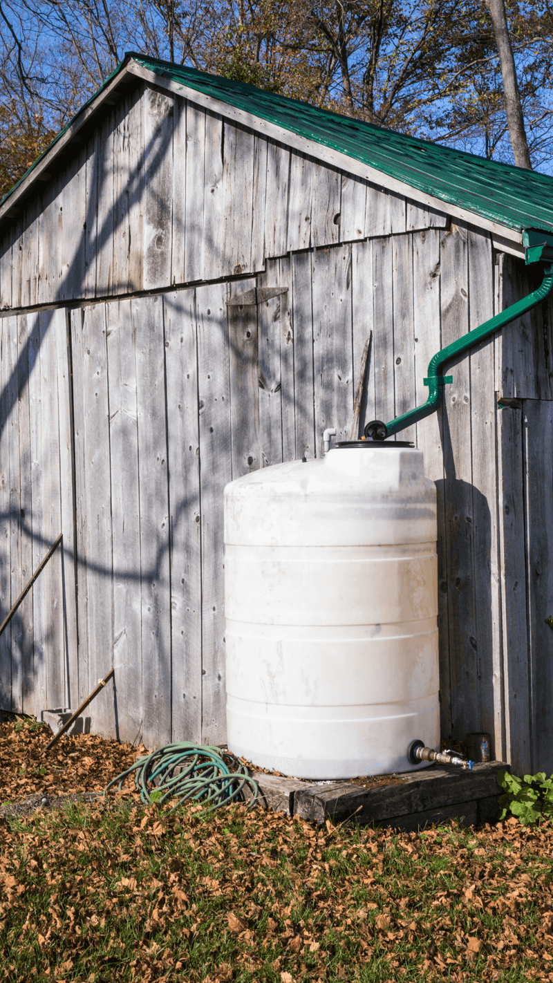 Rainwater Harvesting