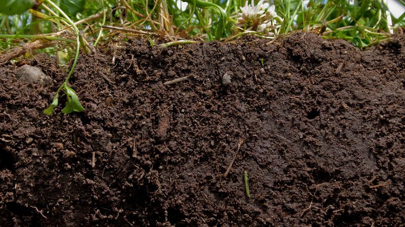Soil Structure Improvers
