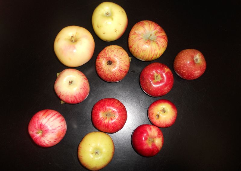 Patience Pays Off with These Trees