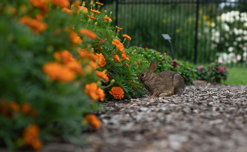 Biodiversity Booster