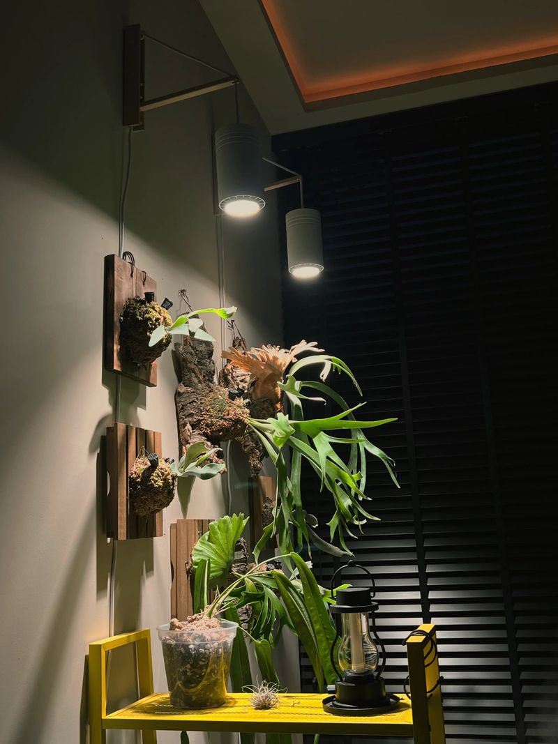 Improper Light Placement