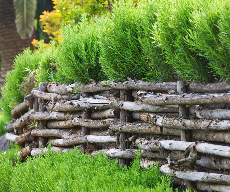 Disregarding Wind Protection