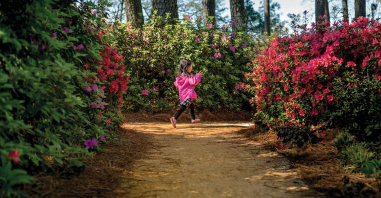 North Carolina’s Most Charming Garden Town Is a Dream for Wildflower Lovers