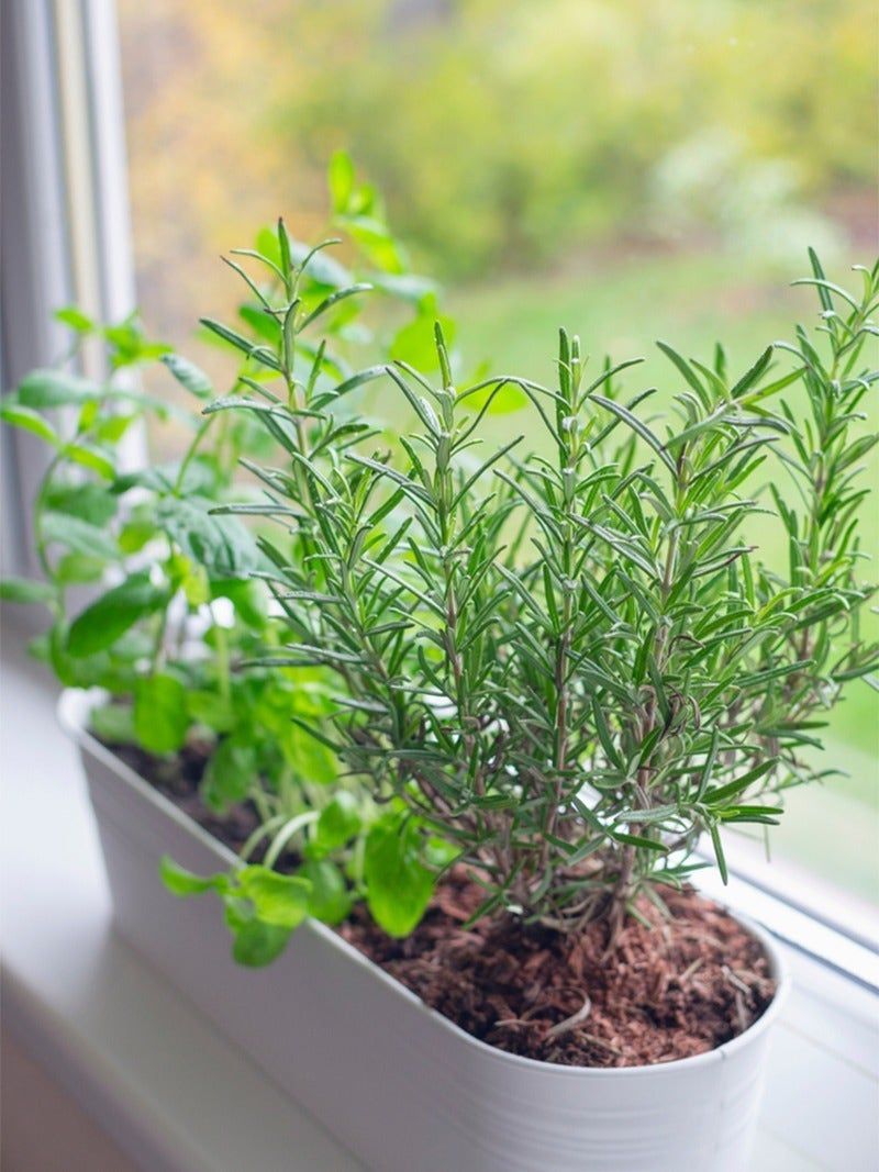 Ignoring Seasonal Changes