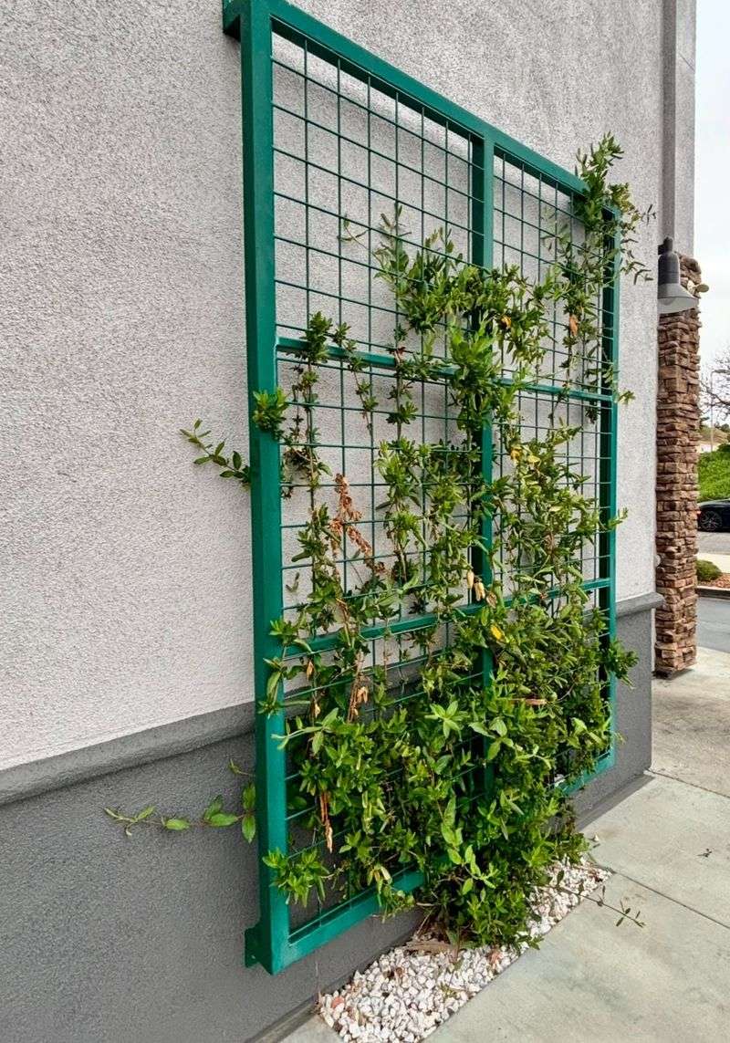 Wire Grid Wall Trellis